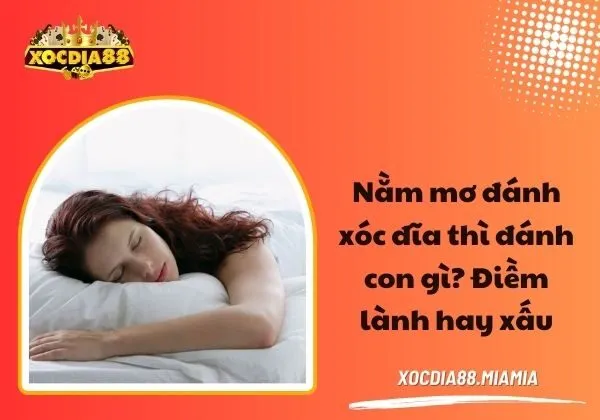 nằm mơ đánh xóc đĩa đánh con gì